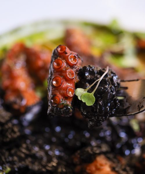 Grecco - Estudio Cumaru-85 (1) 10.39.01